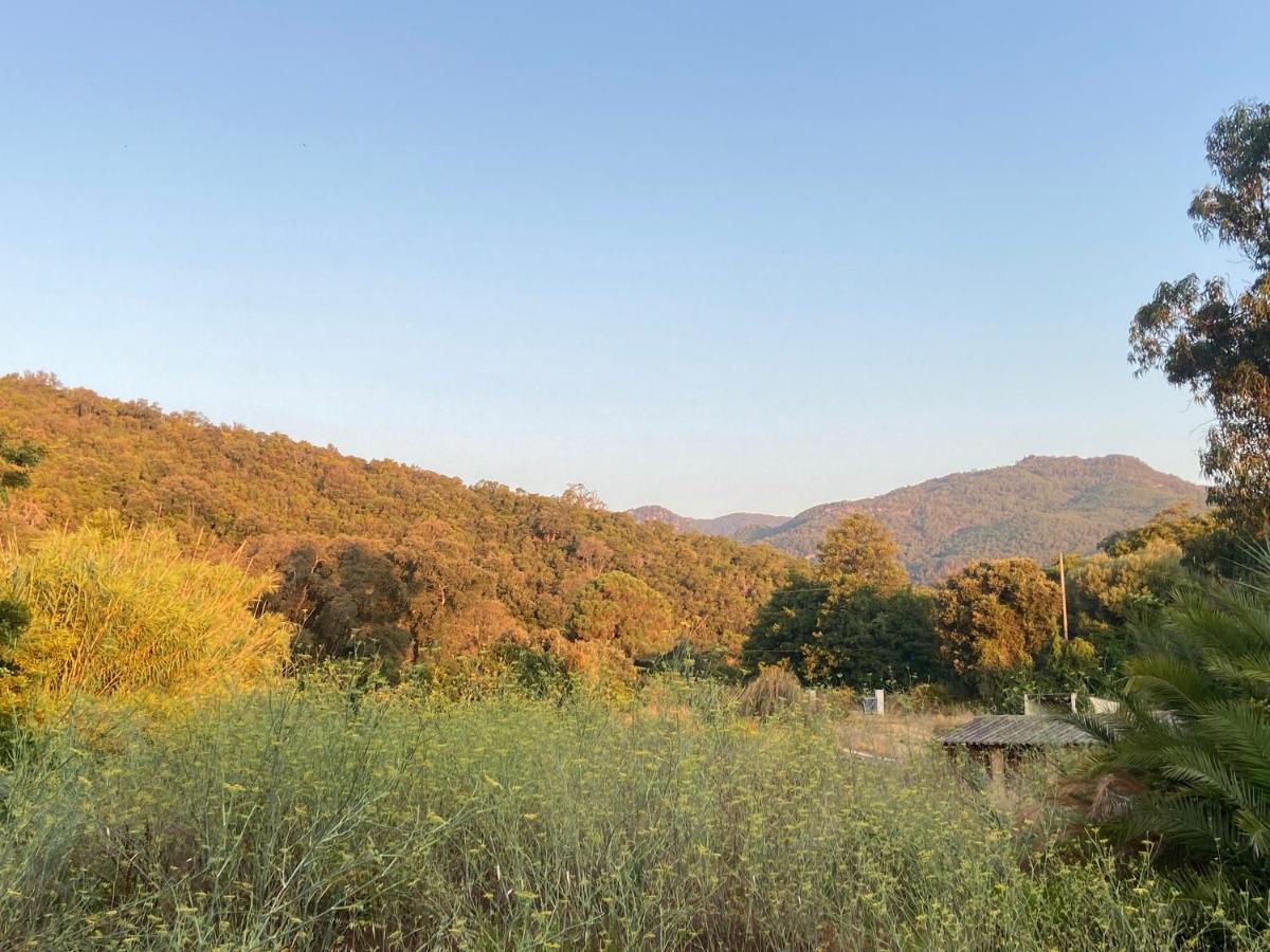 Les Lodges De La Plage U Dragulinu Sari-Solenzara Buitenkant foto